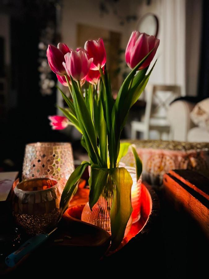 Schlafen Im Atelier - Einzigartiges Gaestezimmer Am Ammersee Daire Schondorf am Ammersee Dış mekan fotoğraf